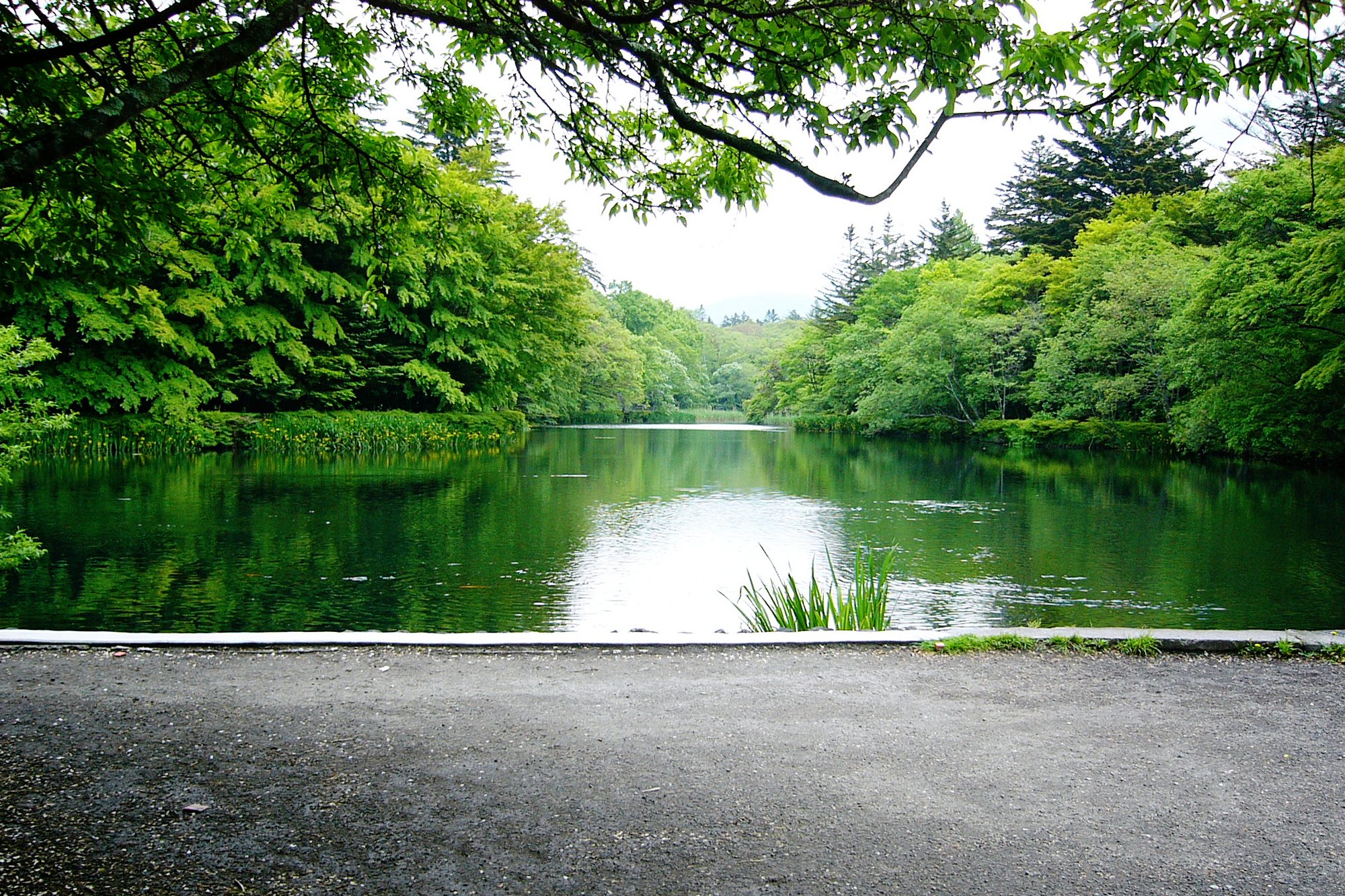 軽井沢