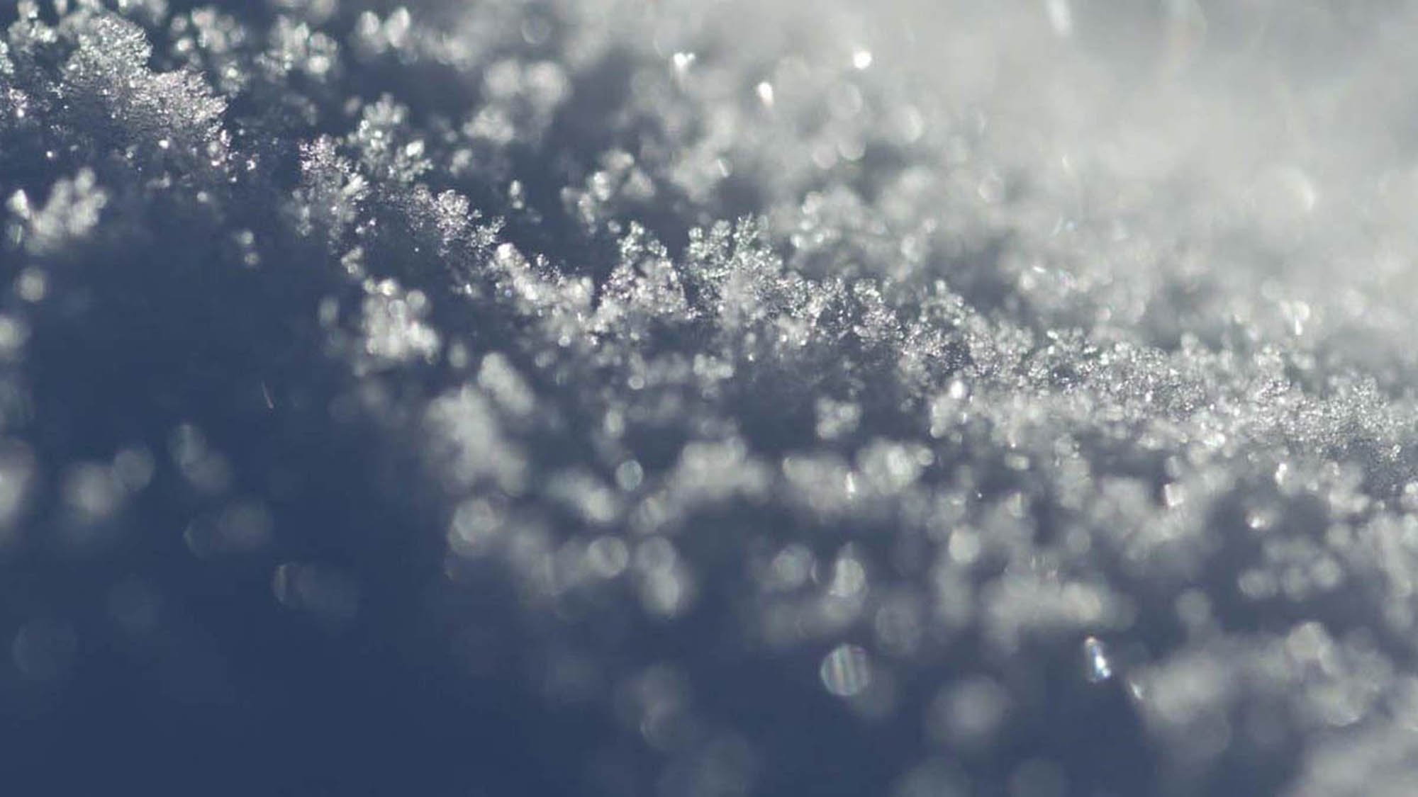 ❄ パウダースノー