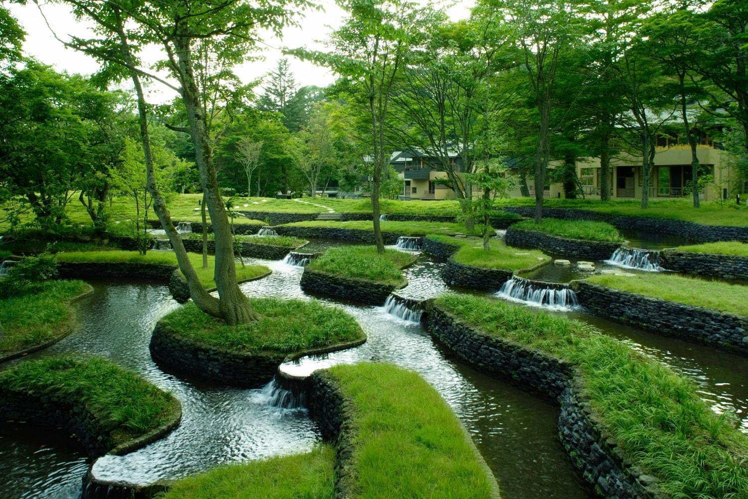 🌿 水波の庭